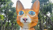 Mèo 'kỳ lạ' ở công viên Thống Nhất và loạt linh vật tết Quý Mão 2023
