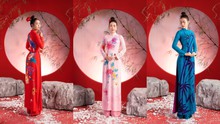 Hoa hậu Ban Mai đẹp nền nã trong BST áo dài "Vũ khúc tre xanh" của NTK Liên Hương 