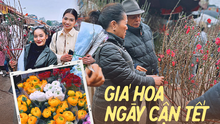Cập nhật giá cả ở chợ hoa Tết lớn nhất Hà Nội