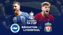 Lịch thi đấu bóng đá hôm nay 29/1: Brighton vs Liverpool