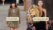 Cùng đưa 'sở thú' lên sàn catwalk, nhưng tại sao Chanel được ca ngợi mà Schiaparelli 'ăn gạch' tới cả tuần trời?