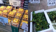 Những loại rau quả cực rẻ, thậm chí mọc dại ở Việt Nam nhưng sang Nhật lại được bày bán trong siêu thị với giá cao ngất ngưởng