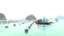Cưỡng chế các công trình nuôi trồng thủy sản trái phép trên Vịnh Hạ Long