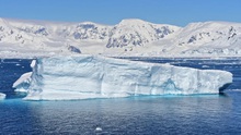 Thế giới đó đây: Nghiên cứu gene bạch tuộc giúp cảnh báo nguy cơ tan băng ở Nam cực