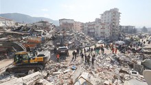 Phong trào Olympic quyên góp 1 triệu USD cứu trợ các nạn nhân động đất