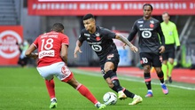 Nhận định, nhận định bóng đá Lille vs Brest (3h00, 25/2), Ligue 1 vòng 25