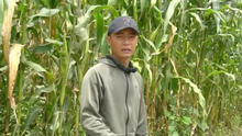 Quang Linh Vlogs tiết lộ kiểu mua đất “độc lạ” châu Phi: Không cần đo đạc, thấy to là mua!