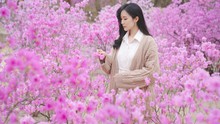 Cẩm nang cho người chơi hệ 'hoa lá cành' khi du lịch Hàn Quốc vào mùa Xuân