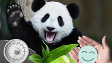 Công việc 'khó nhằn' nhất Trung Quốc: Cả trăm người ứng tuyển nhưng không chọn được ai