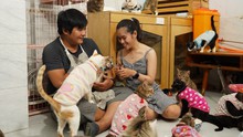 Đôi bạn trẻ dành hết số tiền cưới thành lập trạm cứu hộ mèo hoang ở Sài Gòn