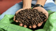 Vận mệnh hạt cà phê Việt Nam vốn không được đánh giá cao có thể xoay chuyển nhờ một yếu tố