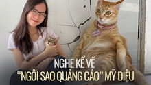 Chủ nhân chú mèo Mỹ Diệu lần đầu xuất hiện "thanh minh" về dáng ngồi bầy hầy của hoàng thượng gây bão khắp mạng xã hội