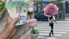 Độc lạ hoa 8/3: Bông hồng khổng lồ gây náo loạn đường phố, hoa bó bằng tiền viral khắp cõi mạng
