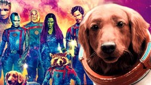 Giải mã thân phận của chú chó đáng yêu chiếm trọn spotlight trong Guardians of the Galaxy 3
