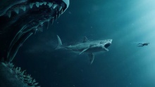 Điều gì khiến cá mập luôn là chủ đề hấp dẫn với người mê phim kinh dị giật gân?