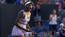 Venus Williams trở lại bùng nổ ở tuổi 43