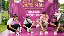 Mars Petcare Việt Nam tổ chức ngày hội thú cưng “Dạ tiệc đỉnh - Boss si mê”