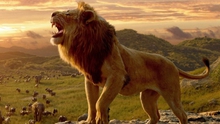 Disney muốn biến 'Vua sư tử' thành phim nhiều phần