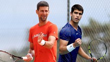 Cuộc đua vô địch đơn nam Wimbledon: Ai có thể lật đổ Djokovic?