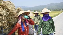 Thời tiết ngày 23/7: Nắng nóng tiếp diễn tại khu vực Bắc Bộ