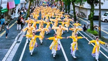 Đội núi trúc Sakura Yosakoi tham gia lễ hội tại Kochi, Nhật Bản 