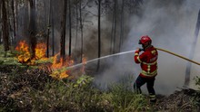 Bồ Đào Nha báo động đỏ về nắng nóng, Canada trải qua mùa cháy rừng kỷ lục