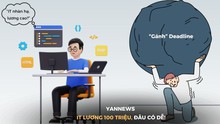 Lầm tưởng nghề “IT nhàn hạ, lương cao”, làm việc ngày đêm mới có lương hàng chục triệu