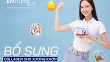 Review: Collagen xương khớp CH-Alpha PLUS có hiệu quả không?