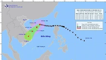 Thời tiết ngày 10/11: Bão số 7 di chuyển chậm hướng Tây, biển động dữ dội