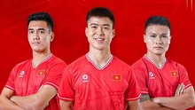 Danh sách ĐT Việt Nam dự AFF Cup 2024