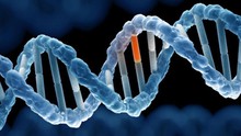Nghiên cứu tại Mỹ phát hiện 275 triệu biến thể gene hoàn toàn mới liên quan nguy cơ mắc bệnh