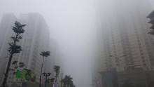Tác hại của sương mù với môi trường và sức khỏe