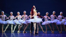 Ballet 'Hồ Thiên nga' trở lại với dàn nghệ sỹ trẻ tài năng