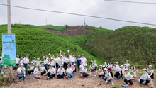 "Eco Camp – Bước tiến đến tương lai vững mạnh" trồng 1.000 cây xanh ở Hạ Long