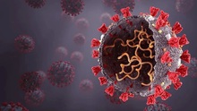 Biến thể phụ của virus SARS-CoV-2 có thể lây lan nhanh và 'né' miễn dịch tốt hơn