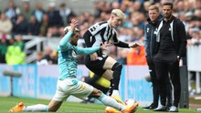 Nhận định, soi tỷ lệ Newcastle vs Southampton, Ngoại hạng Anh vòng 1 (21h00, 17/8)