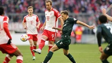 Nhận định, soi tỷ lệ Bremen vs Bayern Munich (20h30, 21/9), vòng 4 Bundesliga