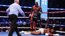 Daniel Dubois hạ knock-out Anthony Joshua, bảo vệ đai vô địch IBF và bước lên tầm cao mới