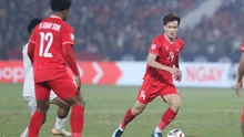 Tranh cãi lớn xung quanh đội hình tiêu biểu AFF Cup 2024