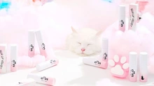 Tips đánh son Cat's Lab gây bão làng beauty hiện nay, bạn đã biết cách đánh đúng?