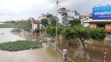 Bão số 10: Nước sông Đáy dâng cao, ảnh hưởng đến đời sống người dân Ninh Bình