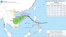 Tiến sĩ Hoàng Phúc Lâm: Bão số 12 đổ bộ từ Đà Nẵng đến Quảng Ngãi, hoàn lưu bão gây mưa lũ lớn diện rộng

