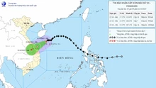 Bão số 12 cách thành phố Đà Nẵng khoảng 310 km
