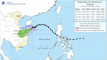Bão số 12 áp sát đất liền, từ Hà Tĩnh đến Quảng Ngãi có mưa rất to