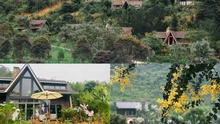 Trải nghiệm Halloween giữa rừng thu Lat Valley Reatreat Village