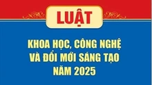 Kế hoạch triển khai thi hành Luật Khoa học, công nghệ và đổi mới sáng tạo