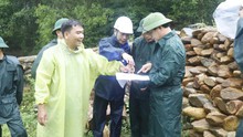 Bão số 12: Đà Nẵng lập 3 Ban chỉ huy tiền phương khu vực