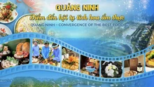 Sắp diễn ra Liên hoan Ẩm thực Quảng Ninh 2025