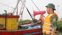 Quảng Ninh, Phú Thọ, Ninh Bình gấp rút thực hiện biện pháp ứng phó bão số 11