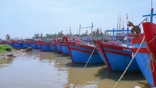 Bão số 11: Ninh Bình tổ chức neo đậu tàu thuyền xong trước 17 giờ ngày 5/10